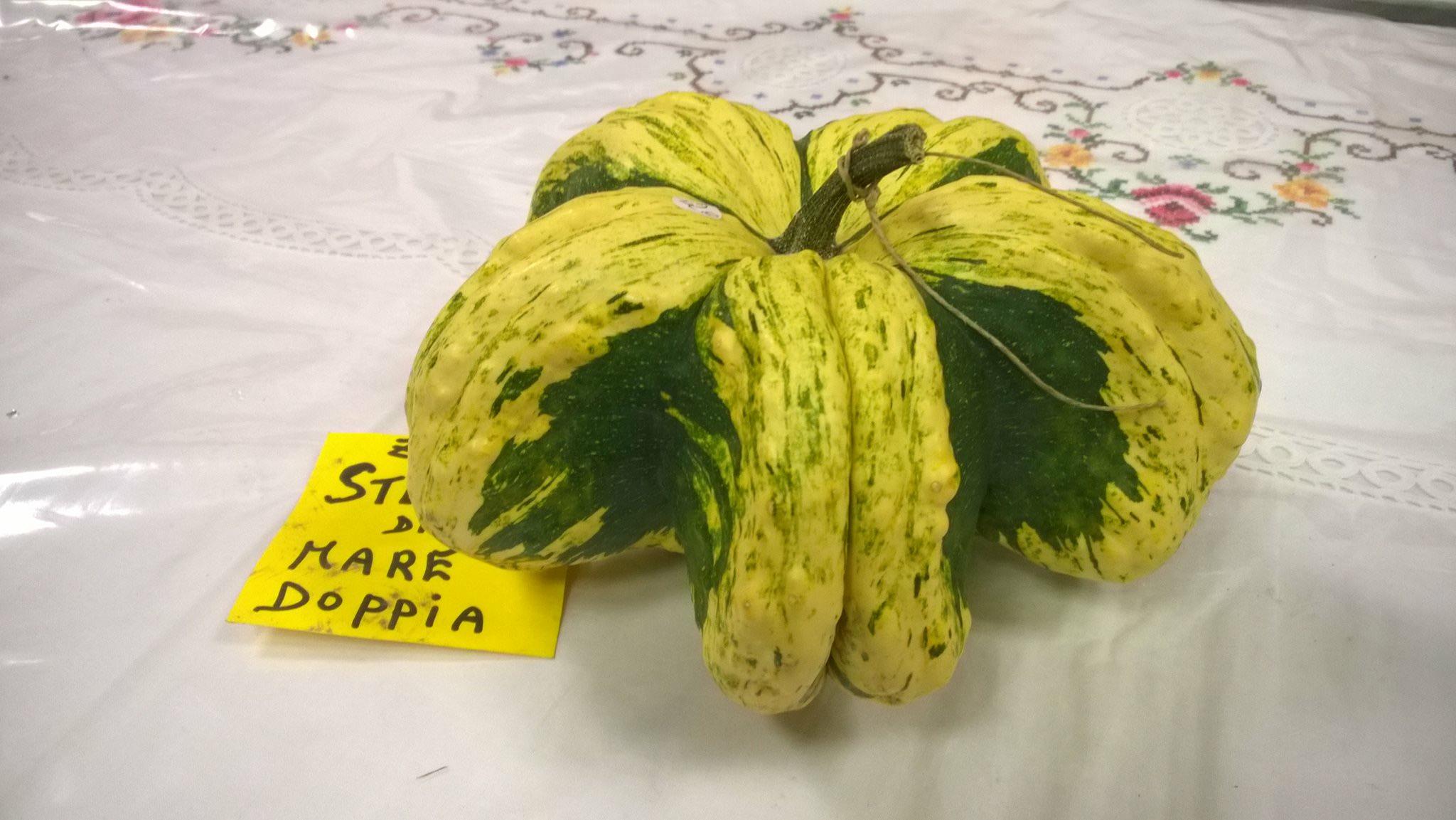 Mostra della zucca Genova