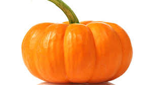 zucca