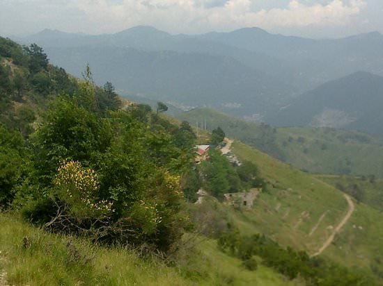 ostaia de baracche