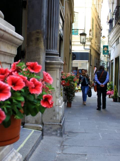 Via Luccoli in fiore