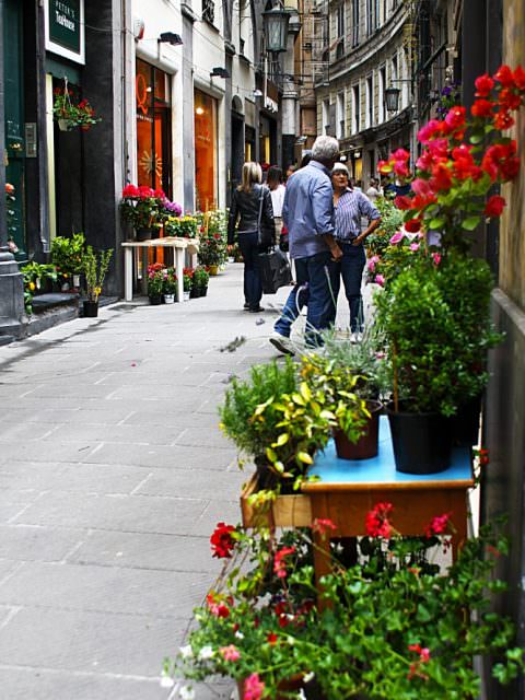 Via Luccoli in fiore