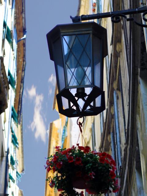 Via Luccoli in fiore