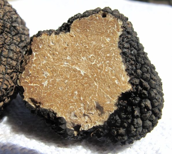 Sformato di tartufo